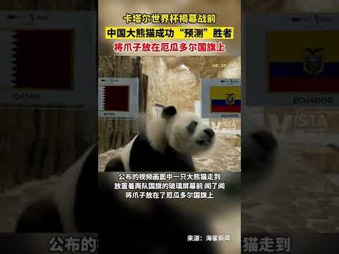 接下来项目,开云平台,开云体育,开云体育,开云体育官网,开云体育app,开云体育平台,KAIYUN,SPORTS,kaiyun登录入口