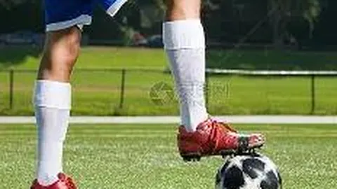 开云平台 资讯 141933 tpx