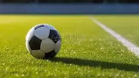 开云平台 资讯 142242 98s