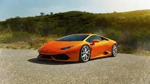 开云平台 资讯 113411 jle