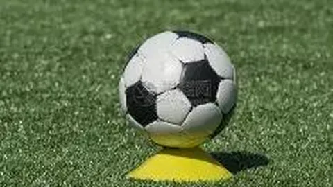 “赵鑫鑫等41人违规，中国象棋协会公布处罚通报”